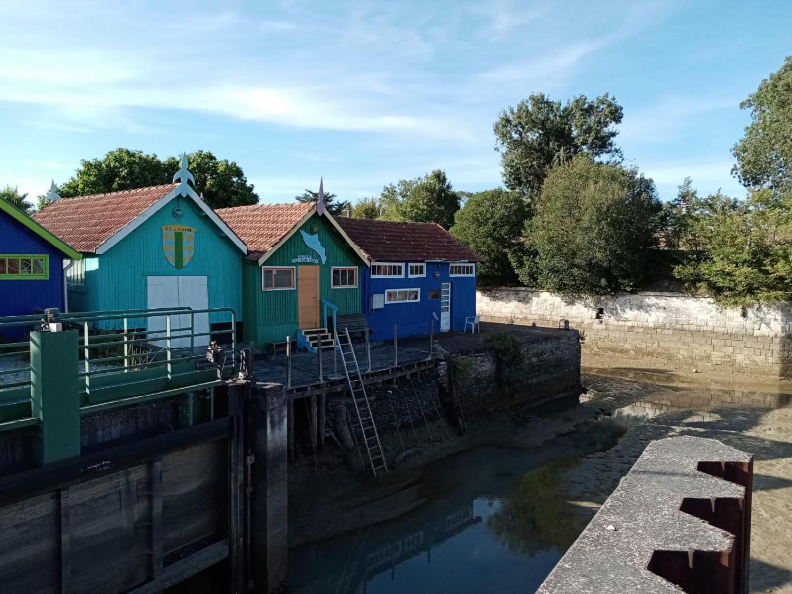 Maison De La Mare Aux Rainettes Location Vacances Standing Au Coeur Du Marais Poitevin - 3 Chambres - 6 Personnes La Celle-sous-Gouzon 外观 照片